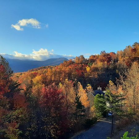3 Decks, Mtn Views! Tree Tops By Honeybearcabins - Luxury Rain Showers, 3 King Suites, Xl Hottub, Fireplace, Bear Sightings Gatlinburg Exterior foto